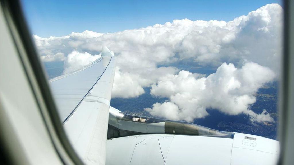 乘坐星空联盟成员航空公司飞往世界各地