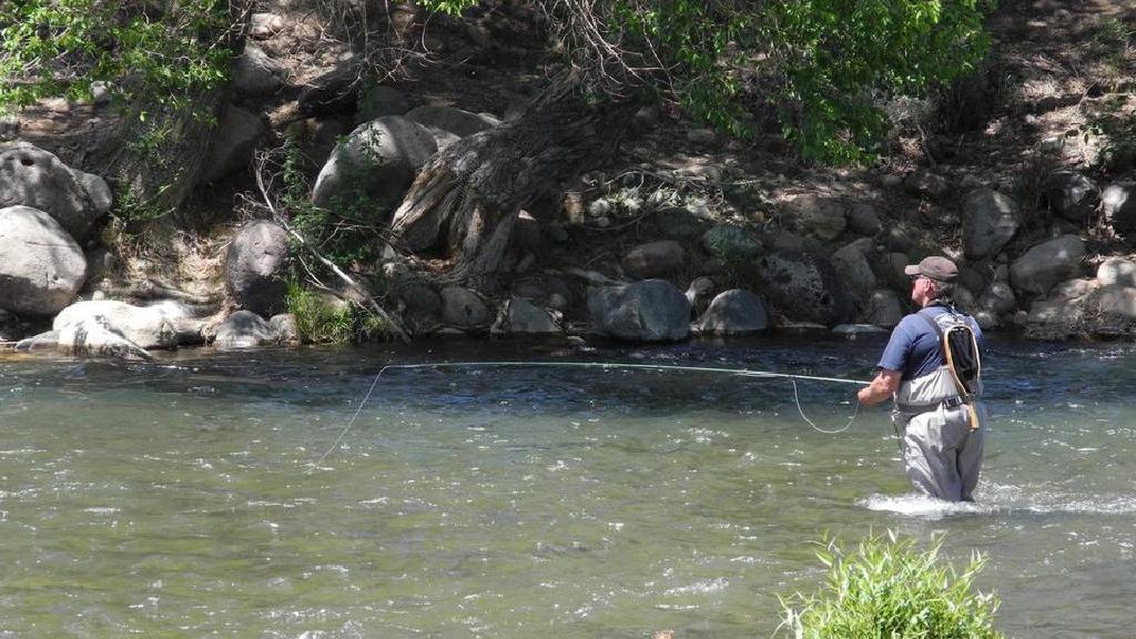 リノ ネバダ近くの子供たちと釣りをする場所