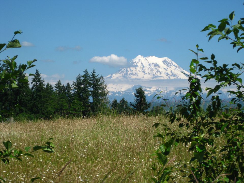 如何看山西雅图的雷尼尔