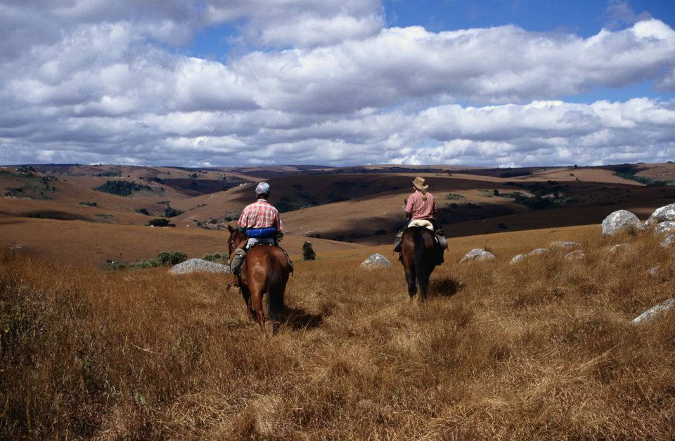 نایکا پلاتو چشم انداز کامل برای اسب سواری، پارک ملی Nyika است