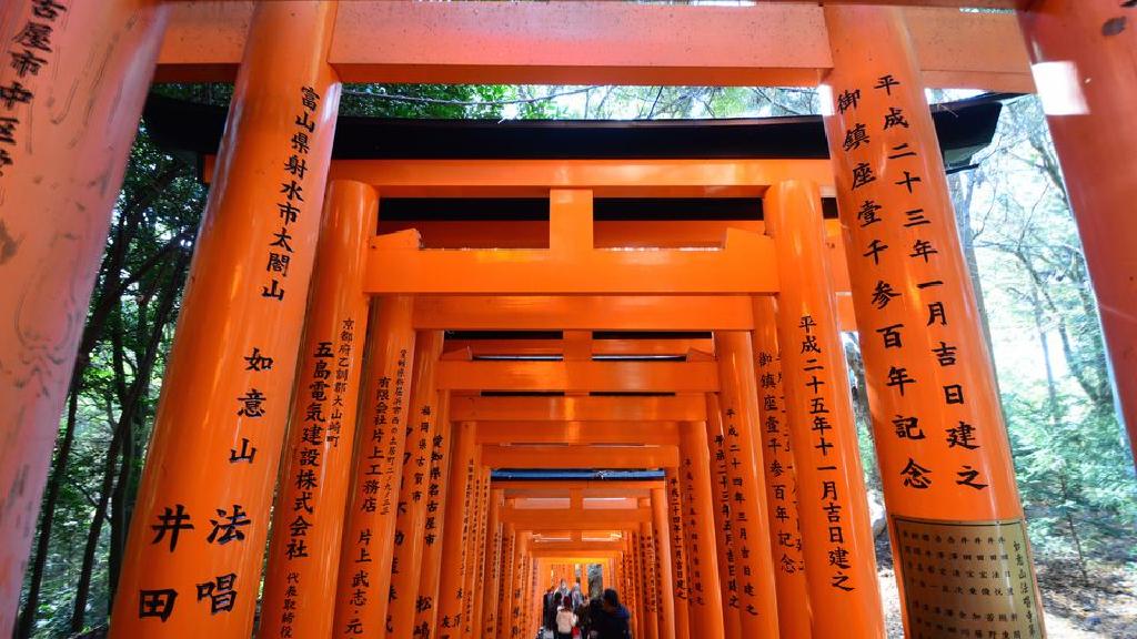 日本迷人的伏见稻荷神社