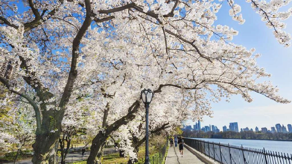 ニューヨークの天気とイベントガイドの4月