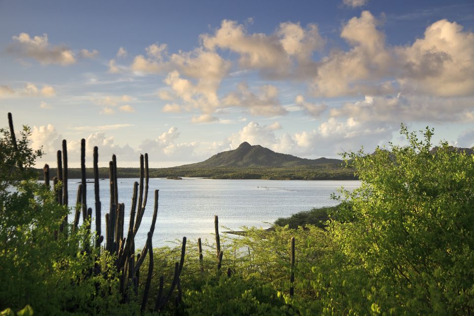 Bonaire, giấc mơ của một người yêu thiên nhiên