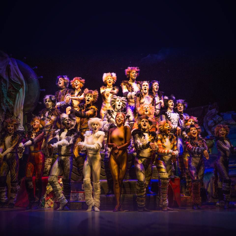 5 Şu anda NYC Broadway Shows Must See