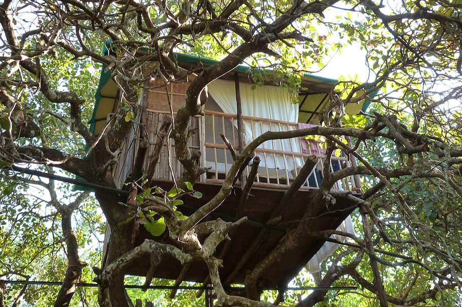 13 فنادق Top Tree House في الهند لجميع الميزانيات