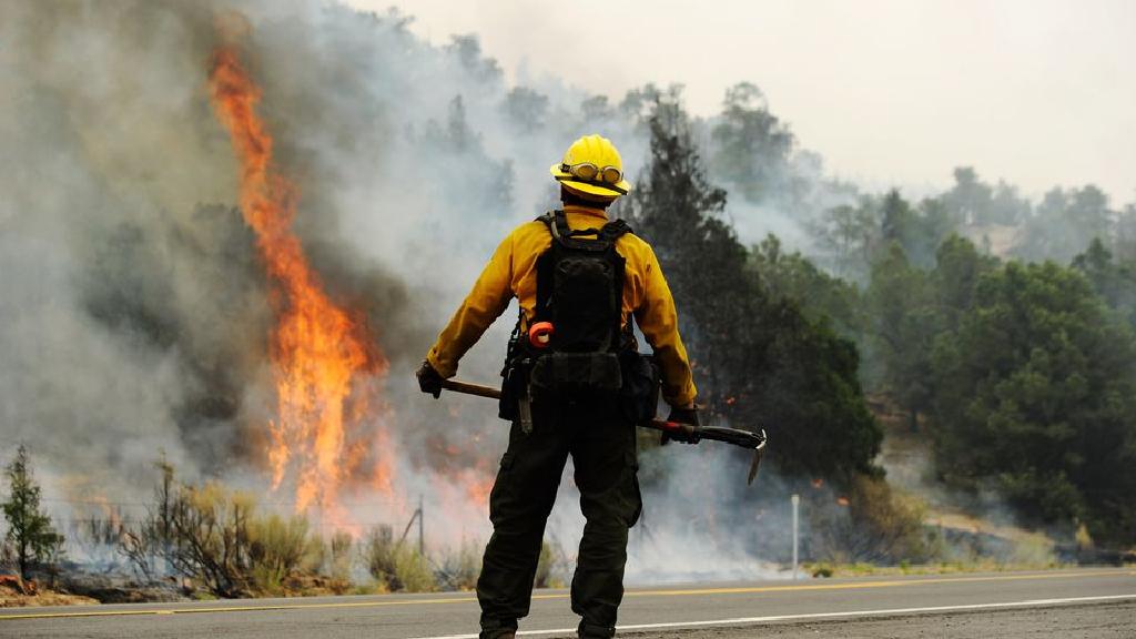 アリゾナ山火事と森林火災