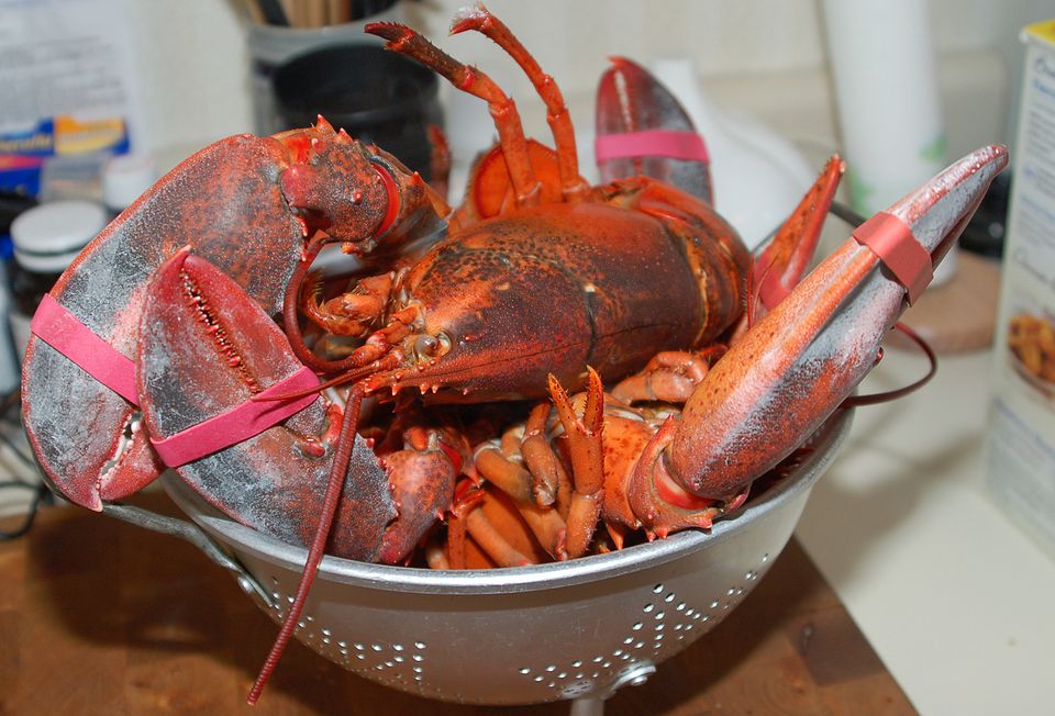 دليل خطوة بخطوة ل Grilling Lobsters في المنزل