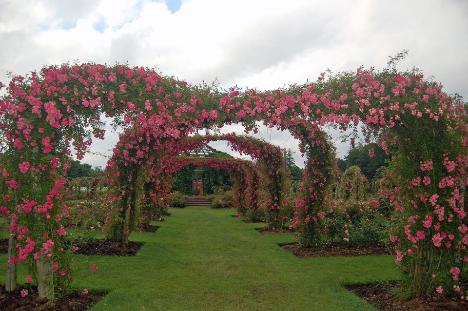 Зоя Рудольфовна Бербер жалаңаш порно Жетілген ханымның эротикалық фотосуреті