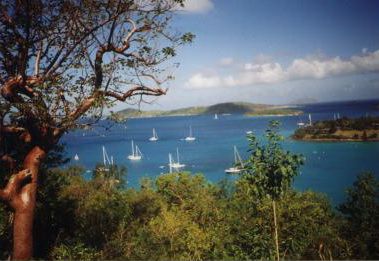 米領バージン諸島のセントトーマス Usvi