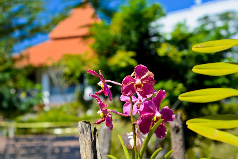 Perdana Botanical Gardens クアラルンプールを探索する