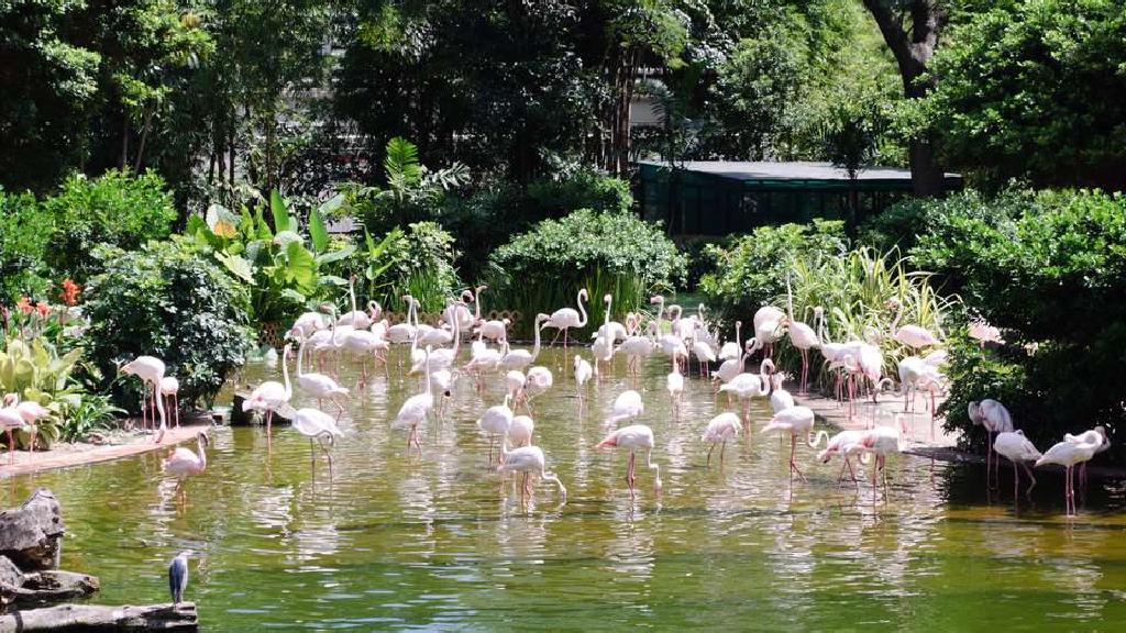 九龙公园旅游指南