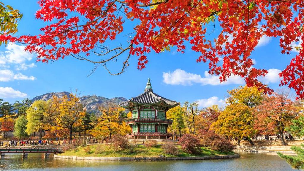 Trang web du lịch Hàn Quốc tốt nhất cho các ưu điểm du lịch