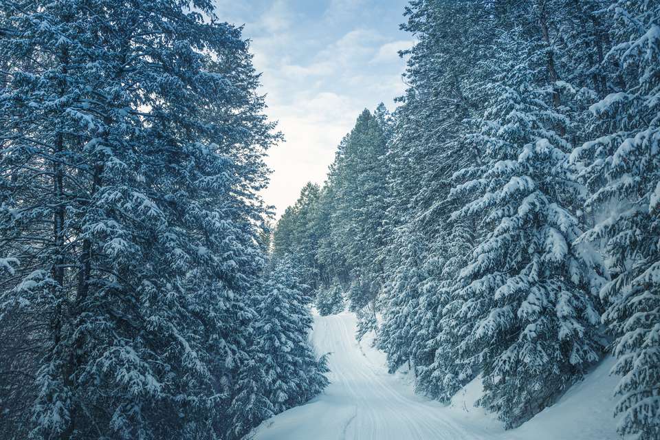 北美雪地摩托的最佳场所